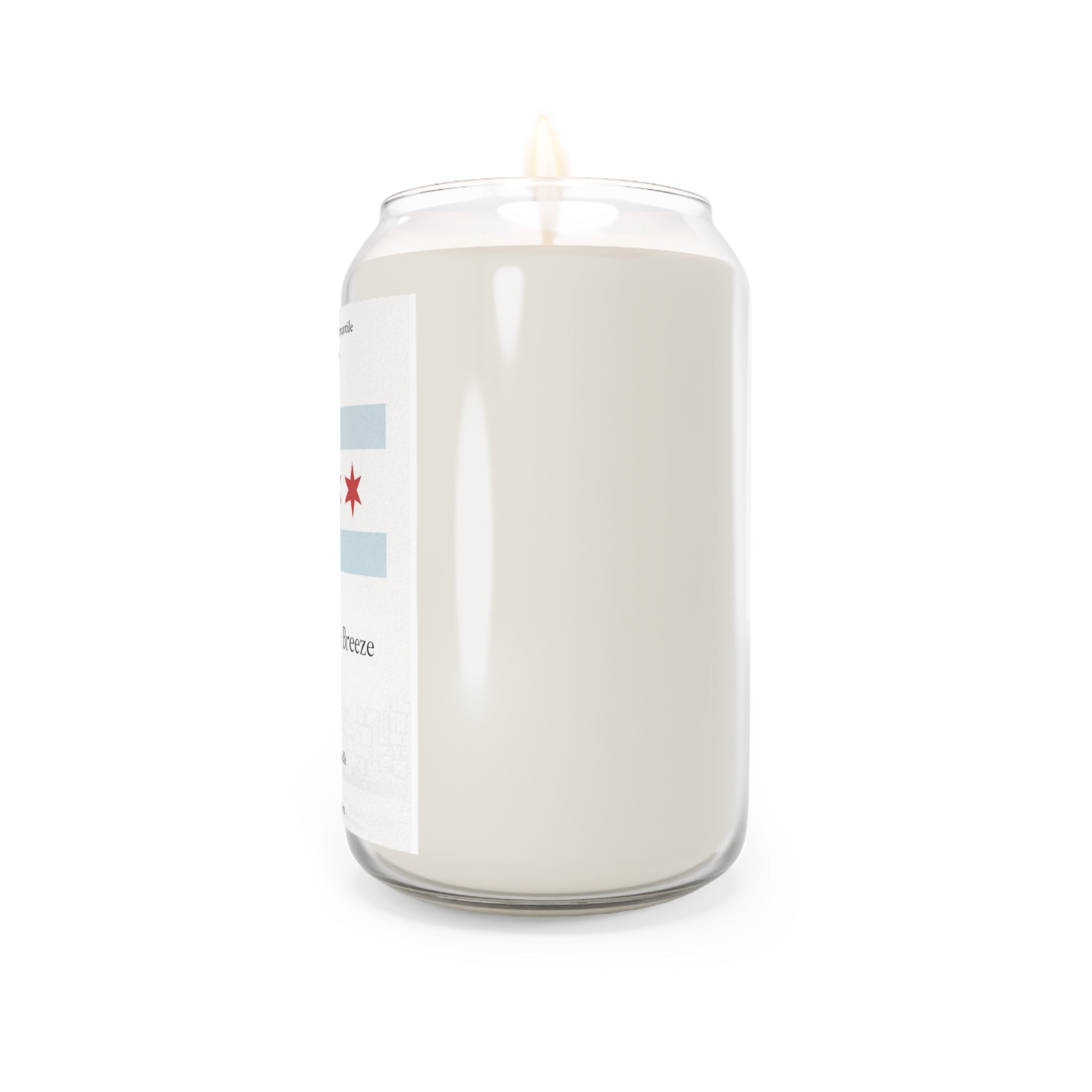 “Lake Michigan Breeze” Scented Soy Candle – 13.75 oz